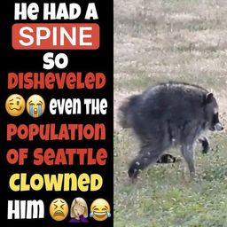 SPINELESS