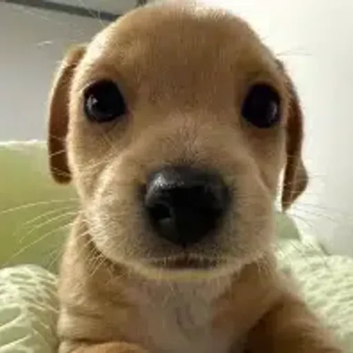 billy