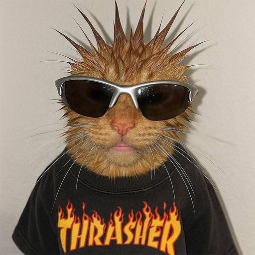 PUNK