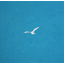 Dove