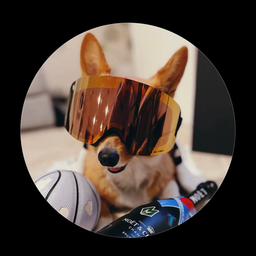 Corgi
