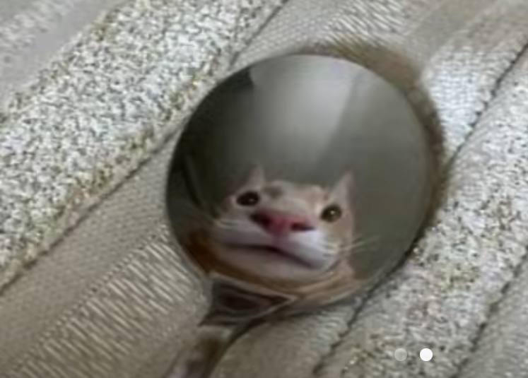SPOON