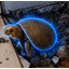 Donatello