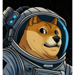 DOGE1