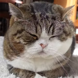 Maru
