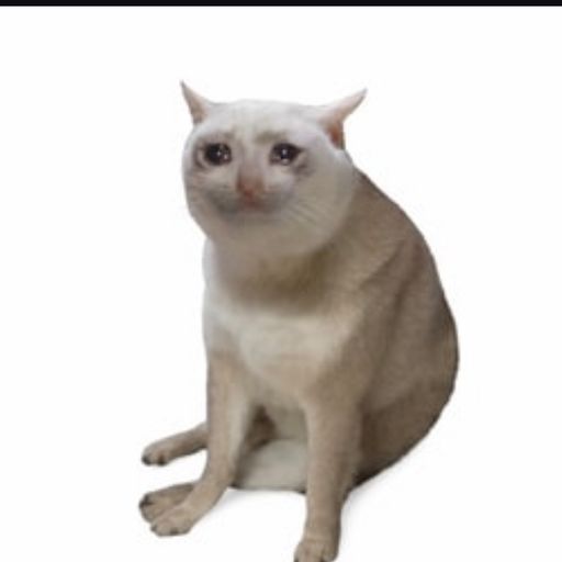 CashCat