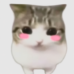 棱角猫