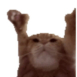 Yaycat