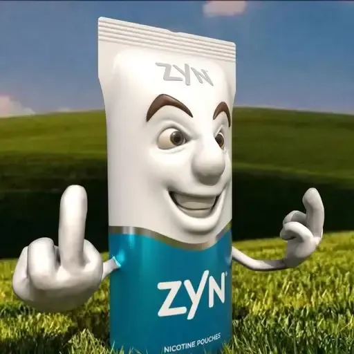 ZYN