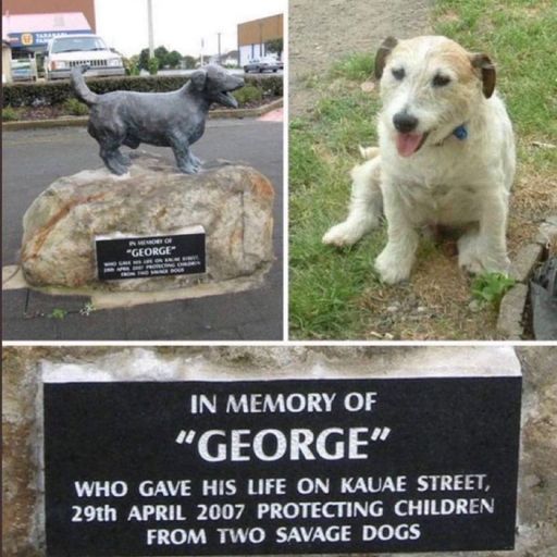 George