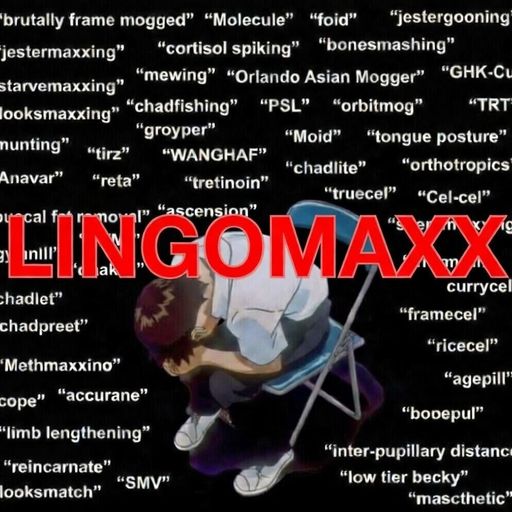 LINGOMAXX