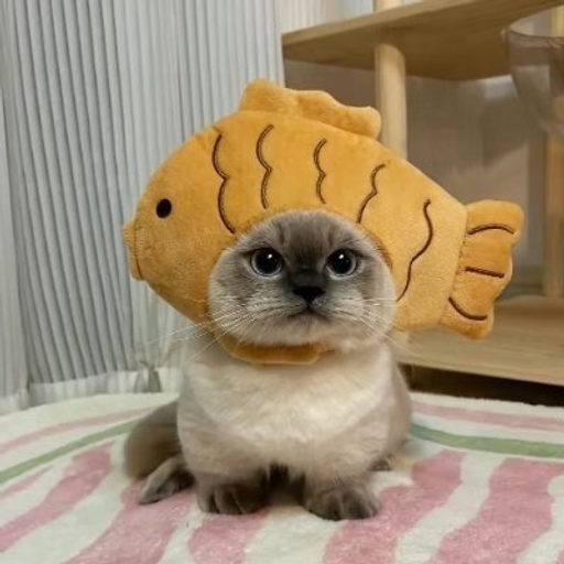 Xiaojie