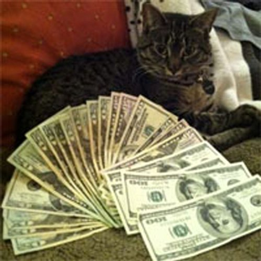 Ca$hcats