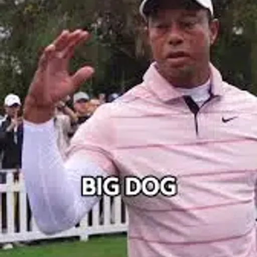 BIGDOG