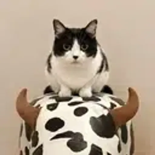 Ushi-san
