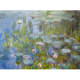 MONET