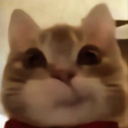 tina