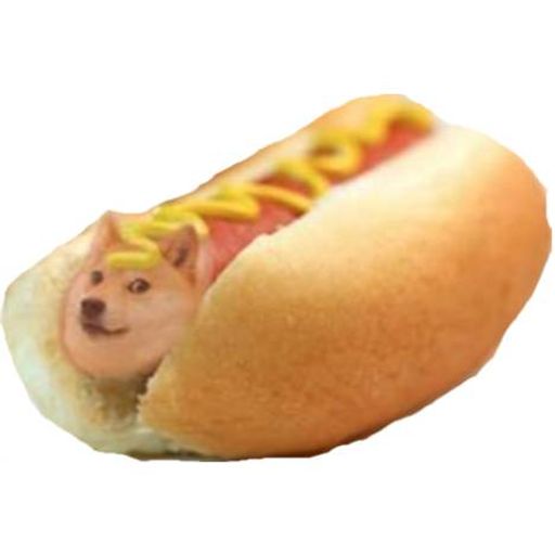 DDOGE