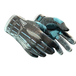 GLOVES