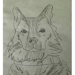 Scout