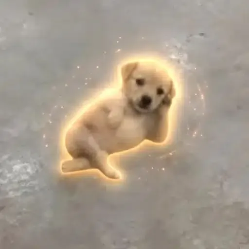 CHILLDOG