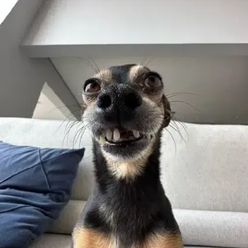 changa