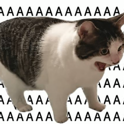 AAAA