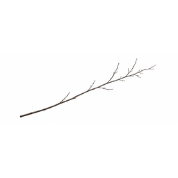 stick