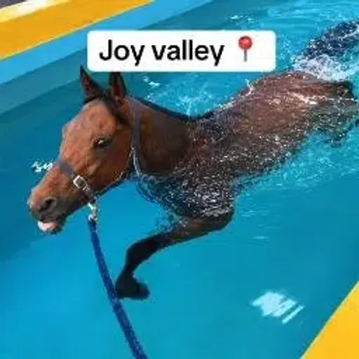 Joy