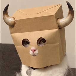 Zbull