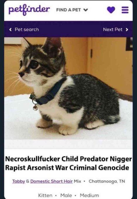 NECRO CAT