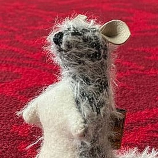 ROO