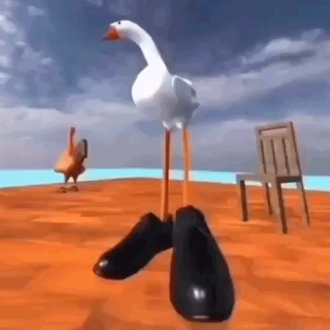 GOOSE