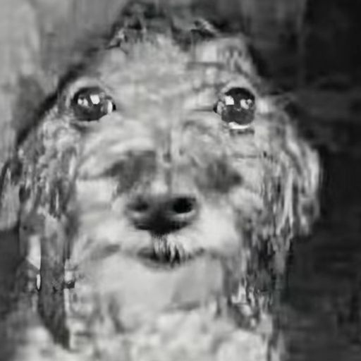 $WetDog