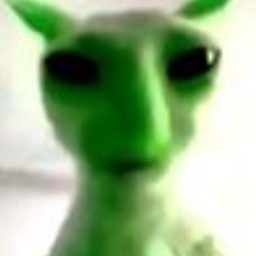 Zingus