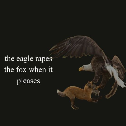 TheEagle 