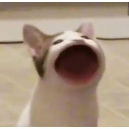 Popcat