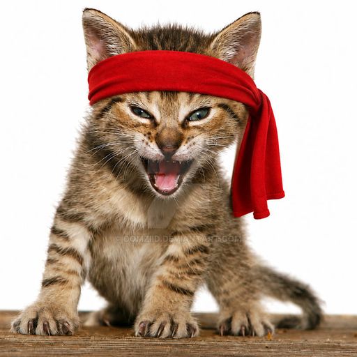 RAMBO