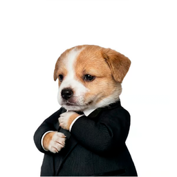 BOSS