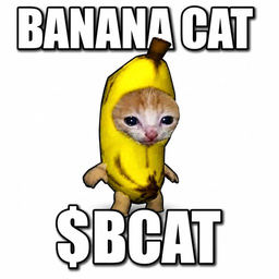 bcat