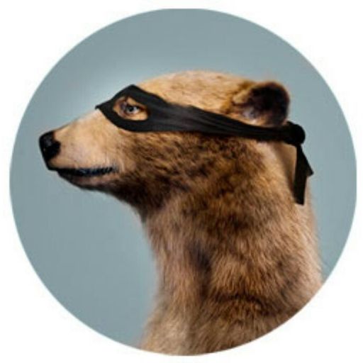 MaskedBear