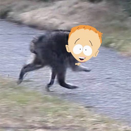 TIMMY