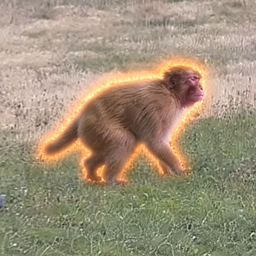 JIMONK