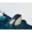 Orca