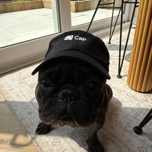 cap