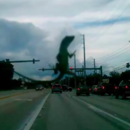 GODZILLA