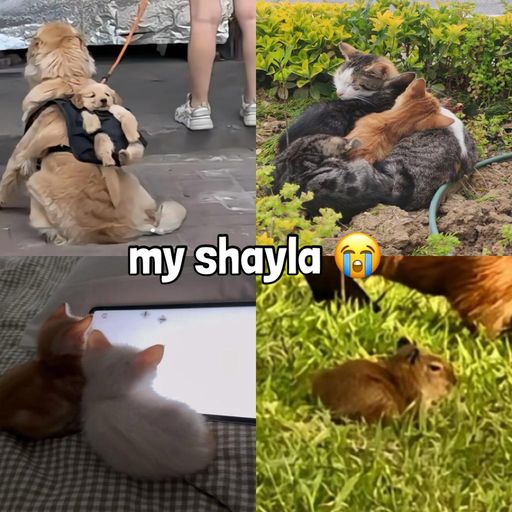 SHAYLA