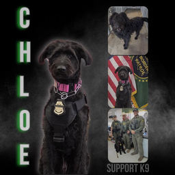 Chloe
