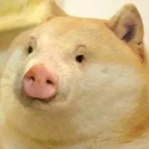 POGE