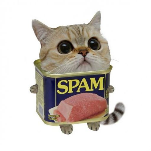 Spam